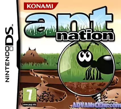 Image n° 1 - box : Ant Nation